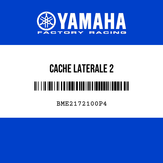 CACHE LATERALE 2