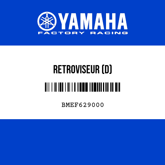 RETROVISEUR (D)