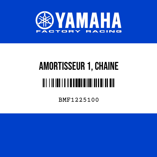 AMORTISSEUR 1, CHAINE