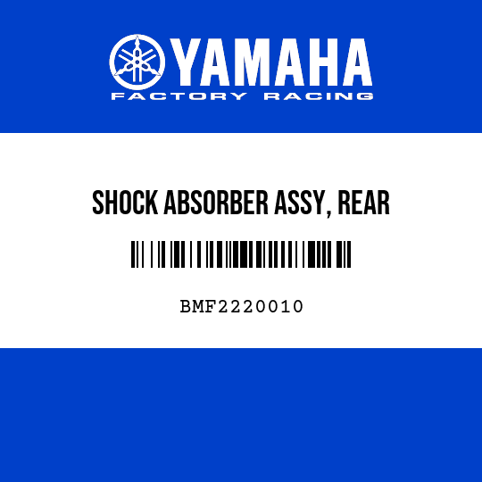 SHOCK ABSORBER ASSY, REAR