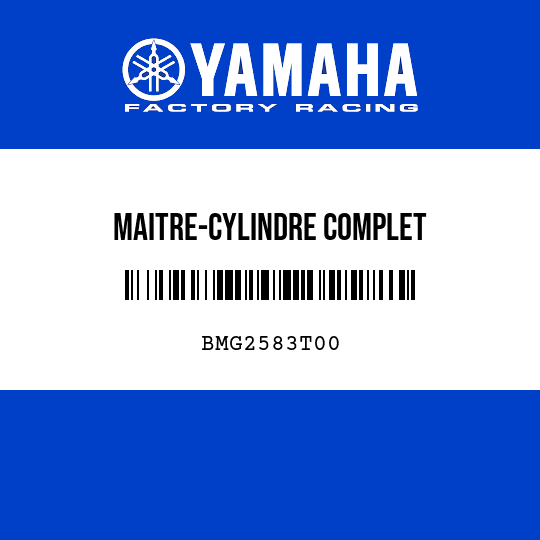 MAITRE-CYLINDRE COMPLET