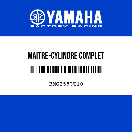 MAITRE-CYLINDRE COMPLET