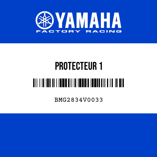 PROTECTEUR 1