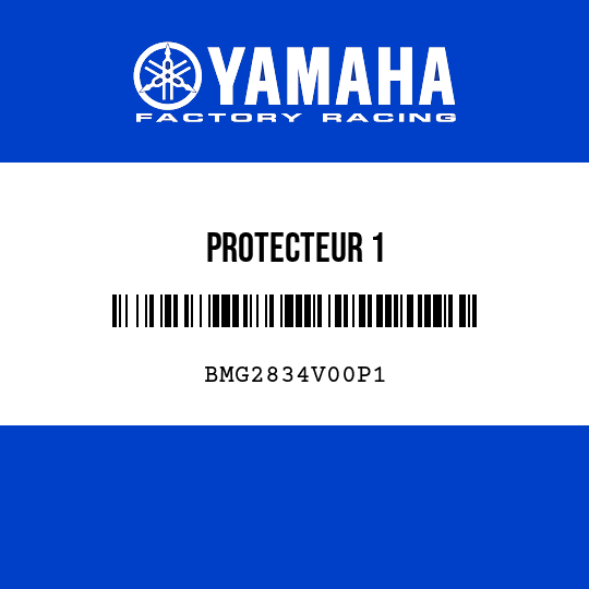 PROTECTEUR 1