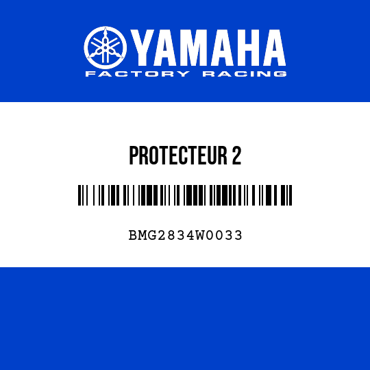 PROTECTEUR 2