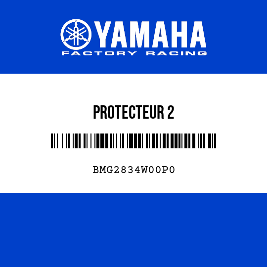 PROTECTEUR 2