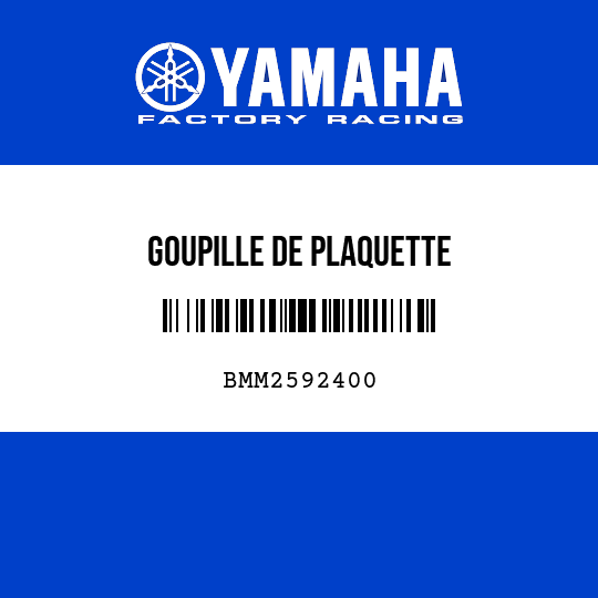 GOUPILLE DE PLAQUETTE
