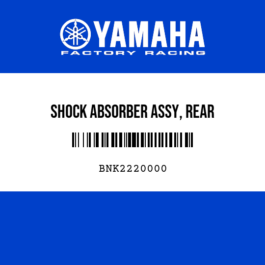 SHOCK ABSORBER ASSY, REAR