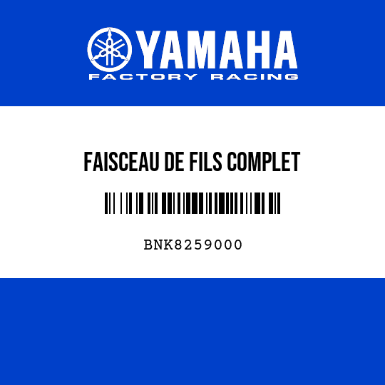FAISCEAU DE FILS COMPLET