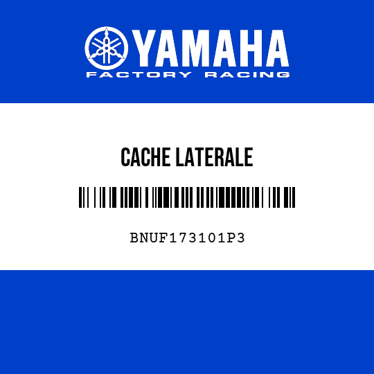 CACHE LATERALE