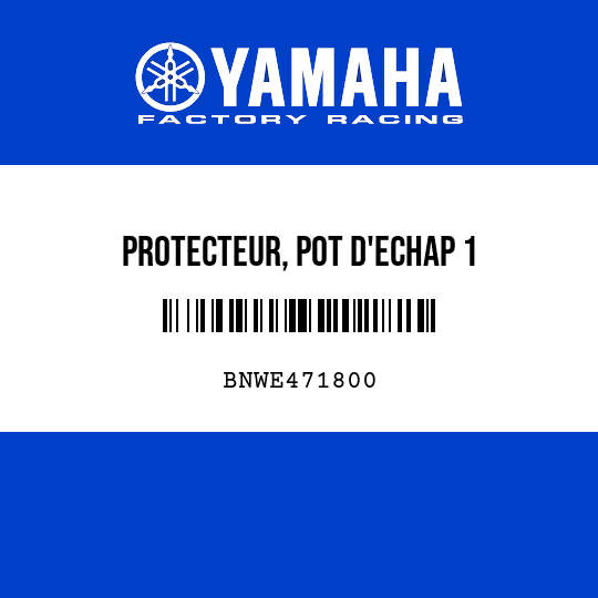 PROTECTEUR, POT D'ECHAP 1