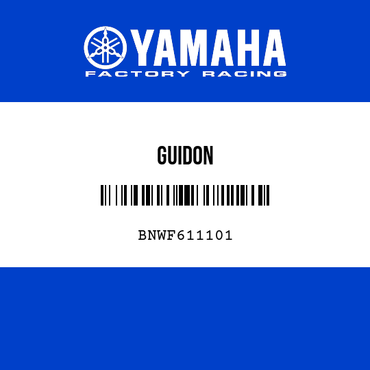 GUIDON