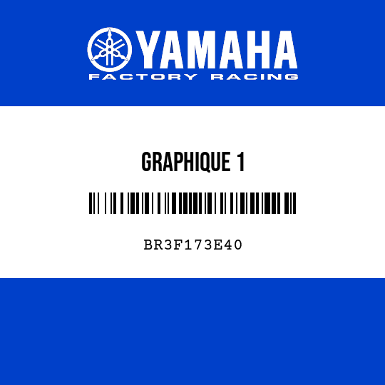 GRAPHIQUE 1