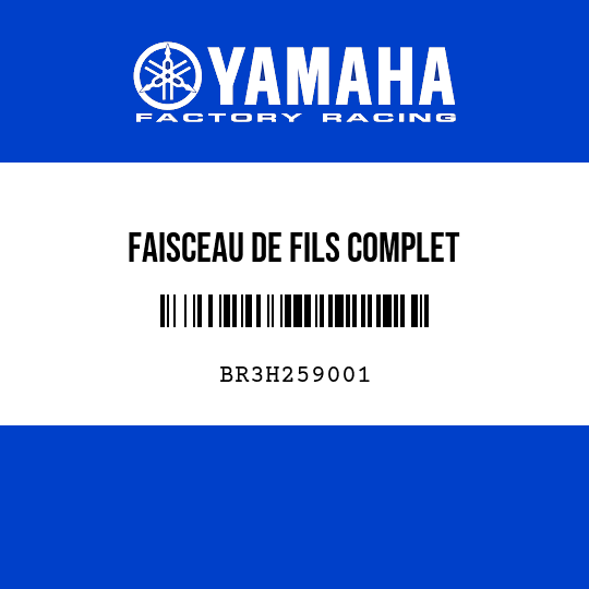 FAISCEAU DE FILS COMPLET