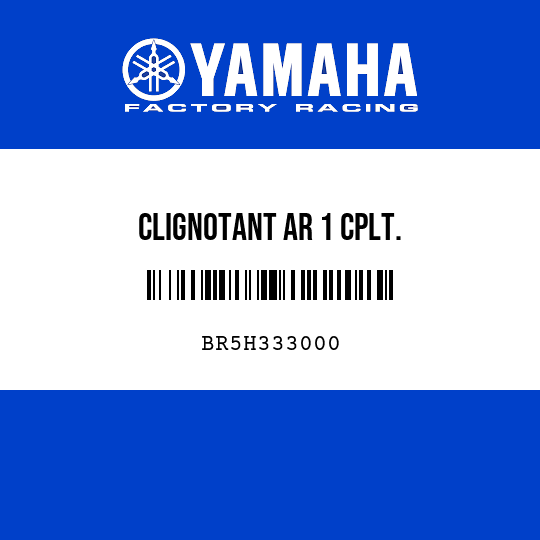 CLIGNOTANT AR 1 CPLT.