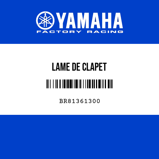 LAME DE CLAPET