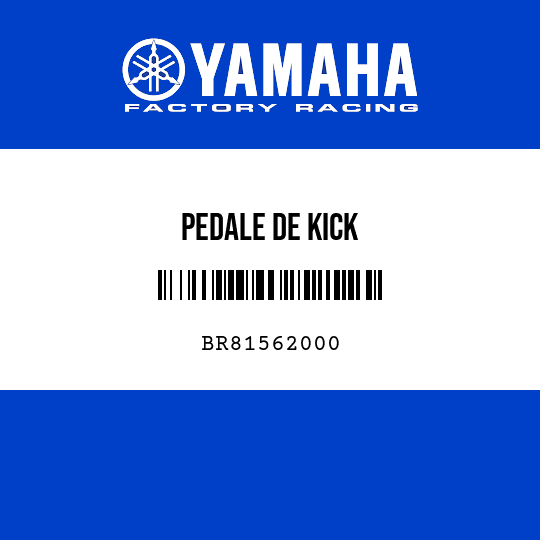 PEDALE DE KICK
