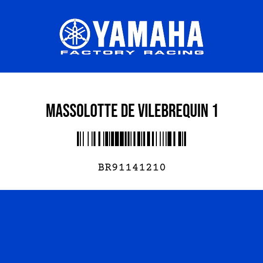 MASSOLOTTE DE VILEBREQUIN 1