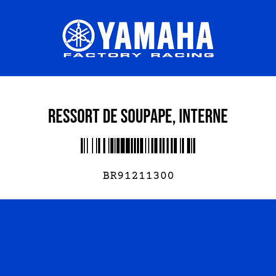 RESSORT DE SOUPAPE, INTERNE