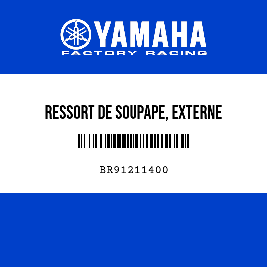 RESSORT DE SOUPAPE, EXTERNE