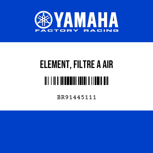ELEMENT, FILTRE A AIR
