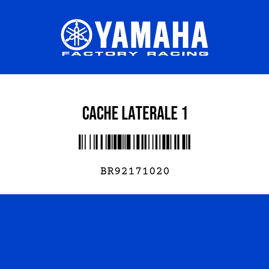 CACHE LATERALE 1