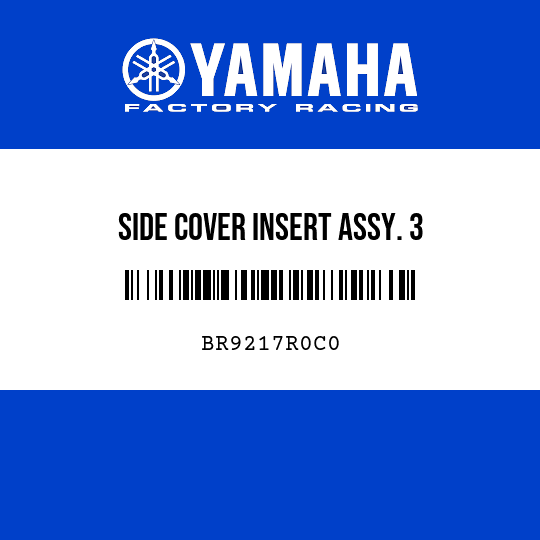 SIDE COVER INSERT ASSY. 3
