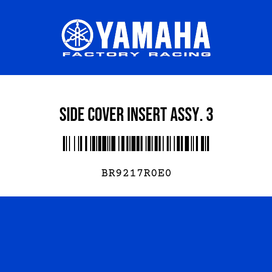 SIDE COVER INSERT ASSY. 3