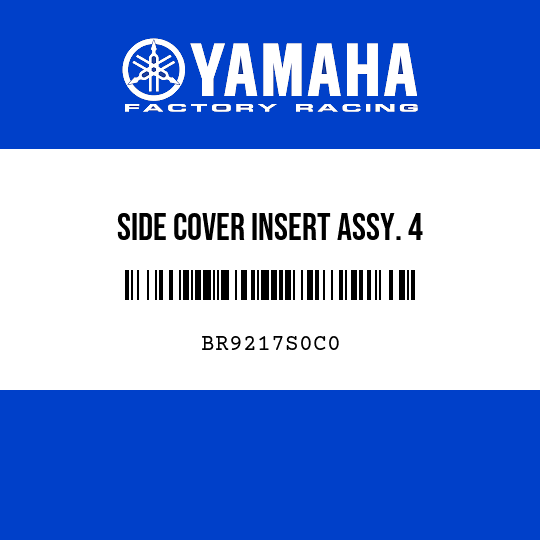 SIDE COVER INSERT ASSY. 4
