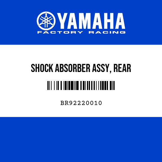 SHOCK ABSORBER ASSY, REAR