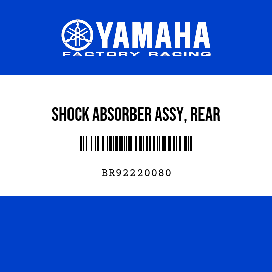 SHOCK ABSORBER ASSY, REAR