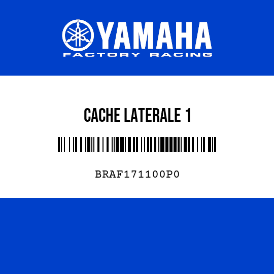 CACHE LATERALE 1