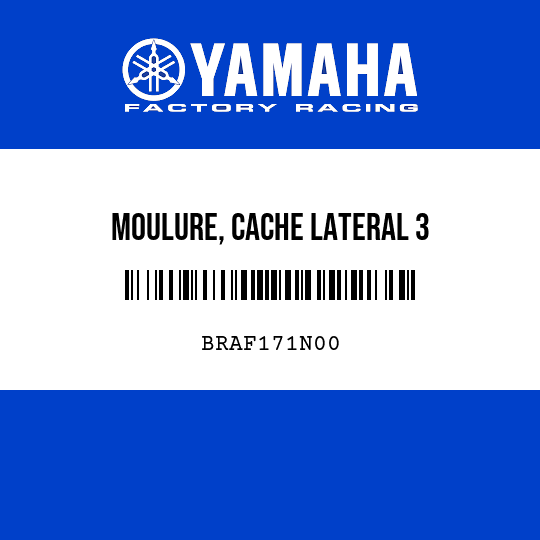 MOULURE, CACHE LATERAL 3