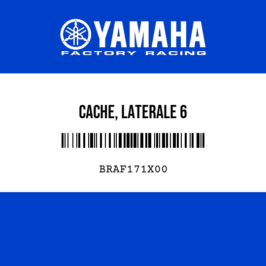 CACHE, LATERALE 6