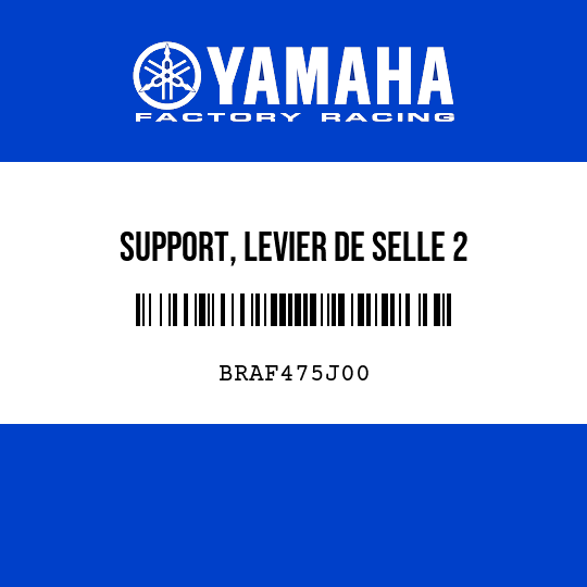 SUPPORT, LEVIER DE SELLE 2