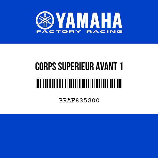 CORPS SUPERIEUR AVANT 1
