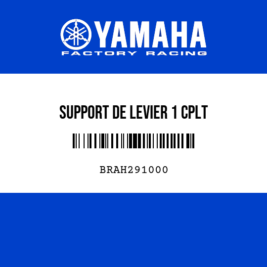 SUPPORT DE LEVIER 1 CPLT