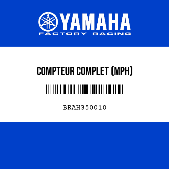 COMPTEUR COMPLET (MPH)