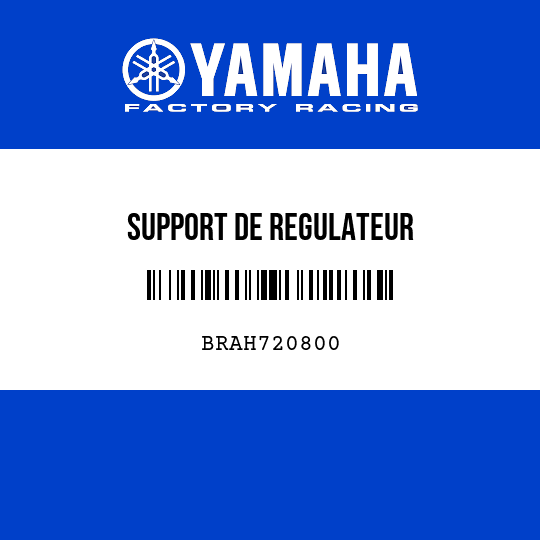 SUPPORT DE REGULATEUR