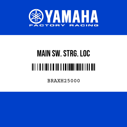 MAIN SW. STRG. LOC