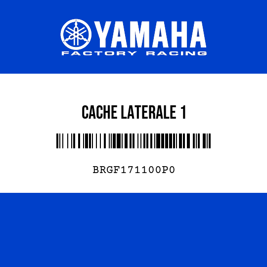 CACHE LATERALE 1