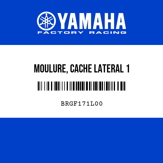 MOULURE, CACHE LATERAL 1