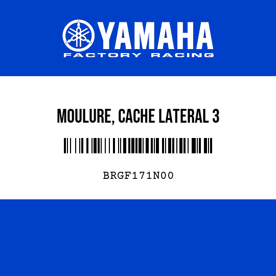 MOULURE, CACHE LATERAL 3