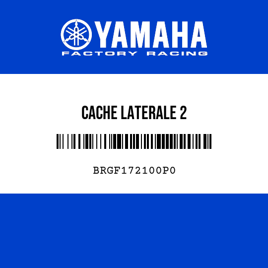 CACHE LATERALE 2