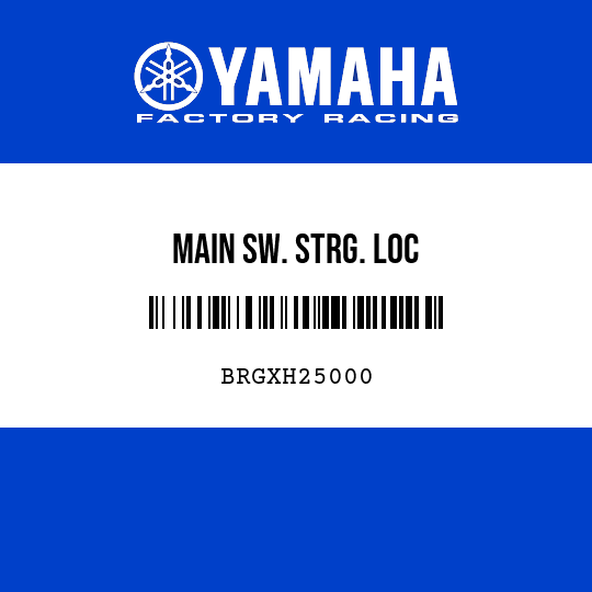 MAIN SW. STRG. LOC