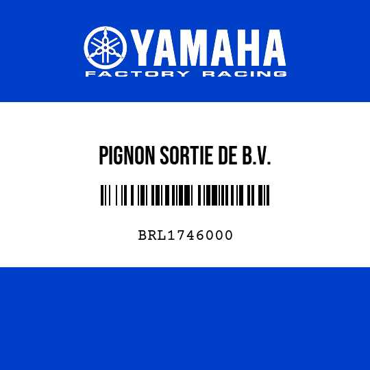 PIGNON SORTIE DE B.V.