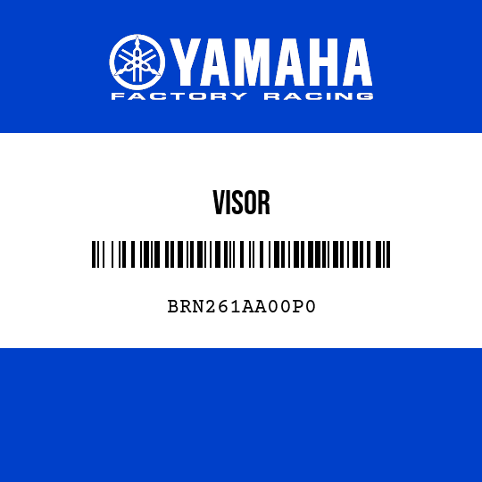 VISOR