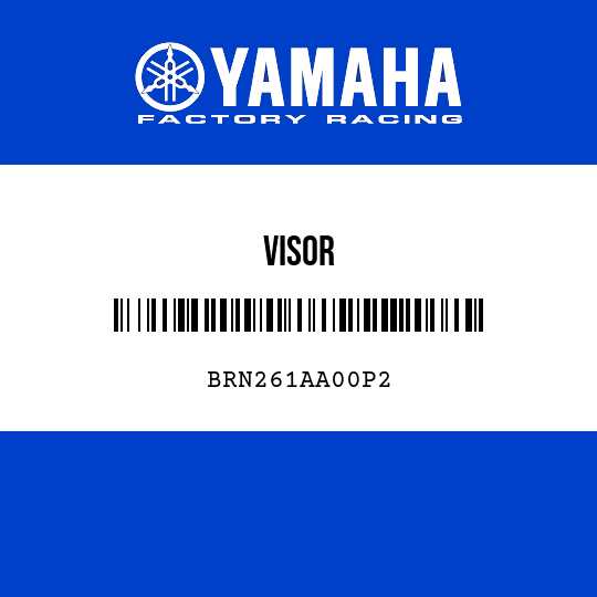 VISOR