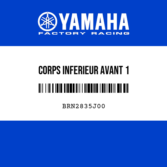 CORPS INFERIEUR AVANT 1