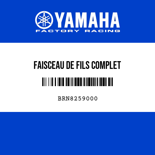 FAISCEAU DE FILS COMPLET